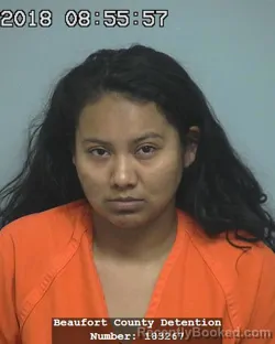 Mugshot of ANTONIA CARMONA-VILLALVA