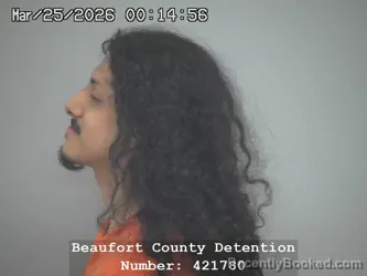 Mugshot of JOHN ANDREWS DELCID-MORALES