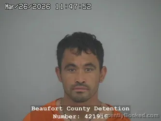 Mugshot of GUADALUPE MEDINA