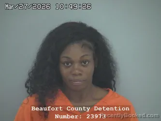Mugshot of ALYSHA MALLINE DIGGS-CHAPMAN