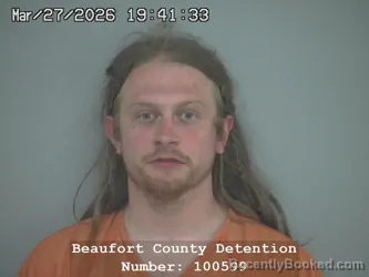 Mugshot of ARTHUR BOYCE HAYES