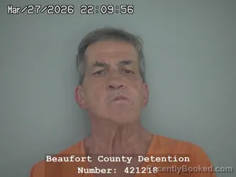 Mugshot of BRIAN LEWIS GREVE