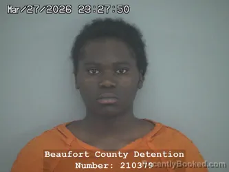Mugshot of SHAMYRA MCHELLA STANFIELD