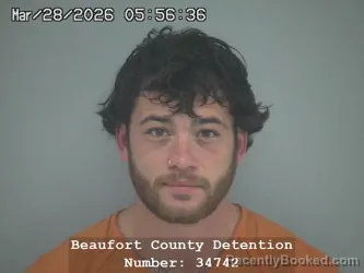 Mugshot of ADDISON GREGORY AL ALTIZER