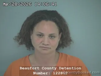 Mugshot of ANDREA IRENE MOSS