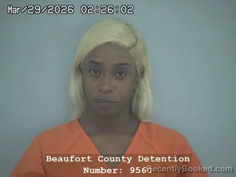 Mugshot of MEGAN DAMONE WIGGS