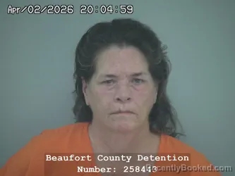 Mugshot of DOROTHY ANNE LOGAN booked in Beaufort County, South Carolina on April 2, 2026