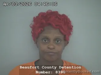 Mugshot of ERICA LASHAY PRYOR booked in Beaufort County, South Carolina on April 3, 2026