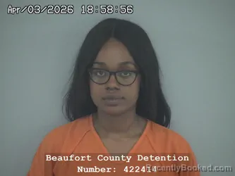 Mugshot of JASMINE MONIQUE LOMAX booked in Beaufort County, South Carolina on April 3, 2026