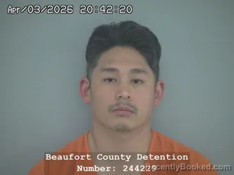 Mugshot of TIMY HUYNH booked in Beaufort County, South Carolina on April 3, 2026