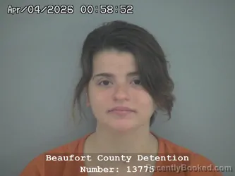 Mugshot of ABBEY ELAINE TORKKO booked in Beaufort County, South Carolina on April 4, 2026