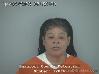 Mugshot of SHAFRONSKI OLIVIA SMITH booked in Beaufort County, South Carolina on April 4, 2026