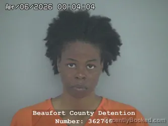 Mugshot of DANIELLE SHENEE MCDANIEL JONES booked in Beaufort County, South Carolina on April 6, 2026