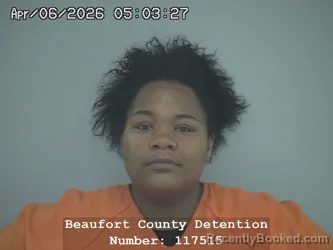 Mugshot of CADEJA DENISE CARTER booked in Beaufort County, South Carolina on April 6, 2026