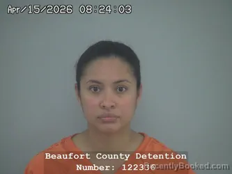 Mugshot of TATIANA BEATRIZ POLANCO-HUETE booked in Beaufort County, South Carolina on April 15, 2026