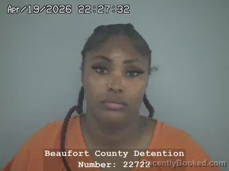 Mugshot of LISA MELODY PATTERSON booked in Beaufort County, South Carolina on April 19, 2026
