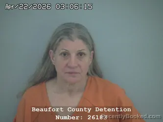 Mugshot of SUSAN ELIZABETH ALEXANDER booked in Beaufort County, South Carolina on April 22, 2026