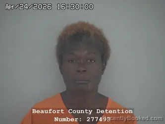 Mugshot of JESSICA ANN WILLIAMS booked in Beaufort County, South Carolina on April 24, 2026