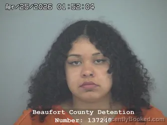 Mugshot of DORIS GEORGINA ARRIETA CABALLERO booked in Beaufort County, South Carolina on April 25, 2026