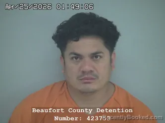 Mugshot of JELSON MEJIA HERNANDEZ booked in Beaufort County, South Carolina on April 25, 2026