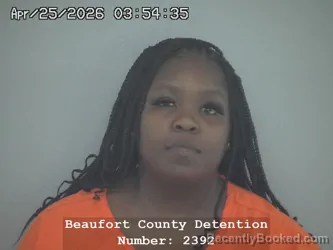 Mugshot of NATASHA LATISA LESESENE booked in Beaufort County, South Carolina on April 25, 2026