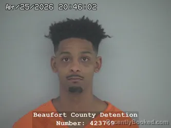 Mugshot of SAIGE ZAAVAN RANDELL booked in Beaufort County, South Carolina on April 25, 2026