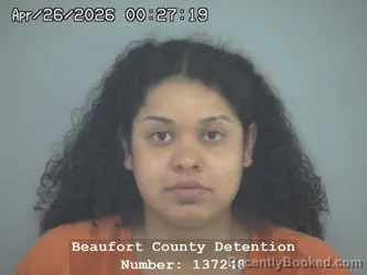 Mugshot of DORIS GEORGINA ARRIETA CABALLERO booked in Beaufort County, South Carolina on April 26, 2026