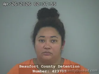 Mugshot of SHEALIEY CAROLEE FRANCISO DOWNS booked in Beaufort County, South Carolina on April 26, 2026