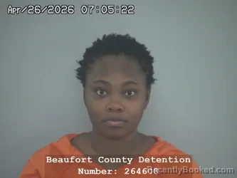 Mugshot of ILAIFE SYLVIA MEREDITH booked in Beaufort County, South Carolina on April 26, 2026