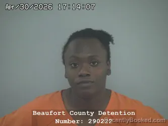 Mugshot of BRITANY GAIL MCKENZIE booked in Beaufort County, South Carolina on April 30, 2026