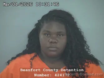 Mugshot of FALLON AHMADREEA MIXSON booked in Beaufort County, South Carolina on May 1, 2026