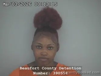 Mugshot of ZAURAH TEKIY-NEAVEH JENKINS booked in Beaufort County, South Carolina on May 3, 2026