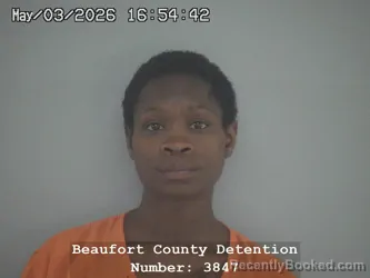 Mugshot of DIAMOND JESSICA CLARK booked in Beaufort County, South Carolina on May 3, 2026