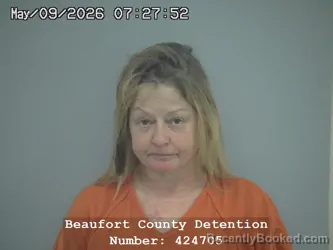 Mugshot of LISA ANN BROWN booked in Beaufort County, South Carolina on May 8, 2026