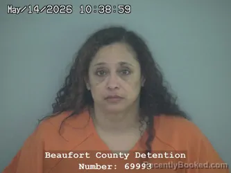 Mugshot of ERICA NICOLE FLETCHER booked in Beaufort County, South Carolina on May 14, 2026