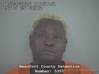 Mugshot of TWONA EUGENA JENKINS booked in Beaufort County, South Carolina on June 3, 2026
