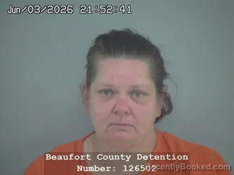 Mugshot of HEATHER RENEE WILBANKS booked in Beaufort County, South Carolina on June 3, 2026