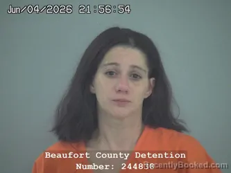 Mugshot of JESSICA NICHOLE WATKINS booked in Beaufort County, South Carolina on June 4, 2026