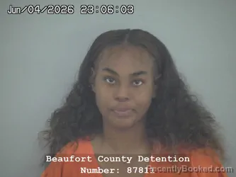 Mugshot of JAILYN RENEE HALL booked in Beaufort County, South Carolina on June 4, 2026