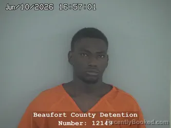 Mugshot of TYRIK MONTEZ PALMER booked in Beaufort County, South Carolina on June 10, 2026