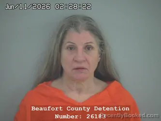 Mugshot of SUSAN ELIZABETH ALEXANDER booked in Beaufort County, South Carolina on June 11, 2026