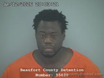 Mugshot of RASHEIN LAMONT JOHNSON booked in Beaufort County, South Carolina on June 12, 2026