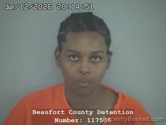 Mugshot of DYAMOND JANAE HOLMES booked in Beaufort County, South Carolina on June 12, 2026