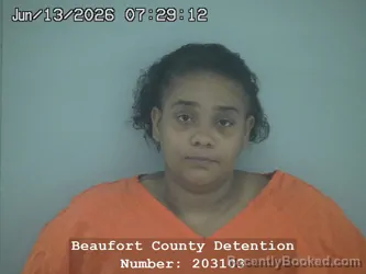Mugshot of SHONTECE MALLAY ALLEN booked in Beaufort County, South Carolina on June 13, 2026