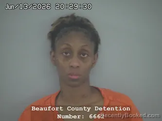 Mugshot of ALEXIS TYQUESA SMALLS booked in Beaufort County, South Carolina on June 13, 2026