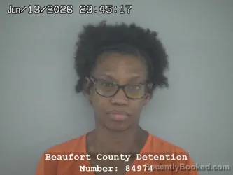 Mugshot of BRIANA YVETTE MADISON booked in Beaufort County, South Carolina on June 14, 2026