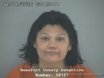 Mugshot of YENNY M PONCE PEREZ booked in Beaufort County, South Carolina on June 14, 2026