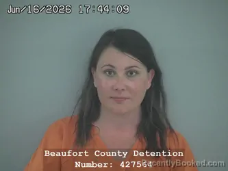 Mugshot of JESSICA JOHANNESSEN CROOKS booked in Beaufort County, South Carolina on June 16, 2026
