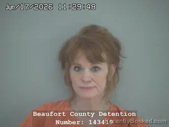 Mugshot of JOY AMBER PATTERSON booked in Beaufort County, South Carolina on June 17, 2026