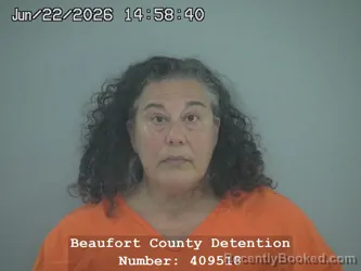 Mugshot of LAURA FANELLI booked in Beaufort County, South Carolina on June 22, 2026